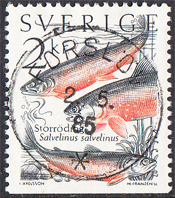 N59b